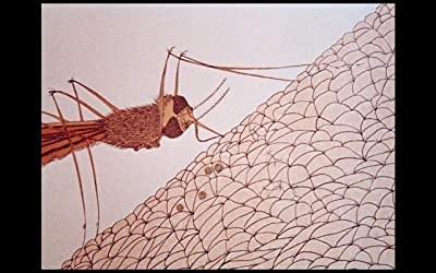 Cosmic Zoom (1968) afişi Cosmic Zoom (1968) afişi