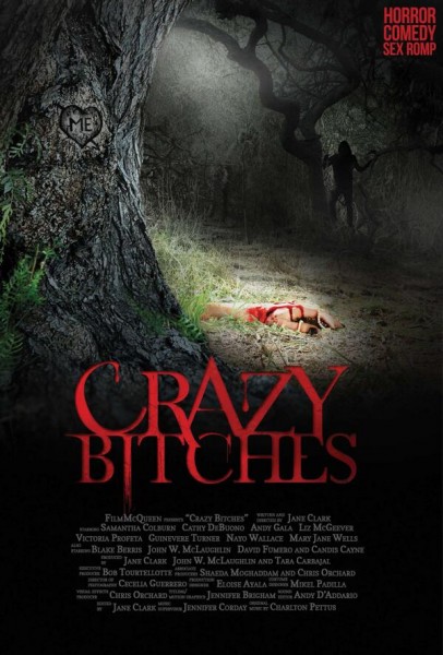 Crazy Bitches (2013) afişi Crazy Bitches (2013) afişi