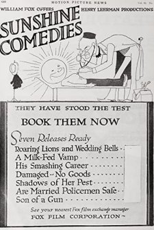 Damaged, No Goods (1917) afişi