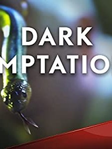 Dark Temptations (2014) afişi