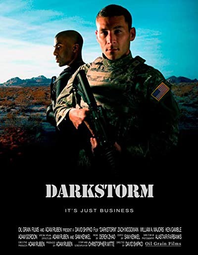 Darkstorm (2009) afişi Darkstorm (2009) afişi