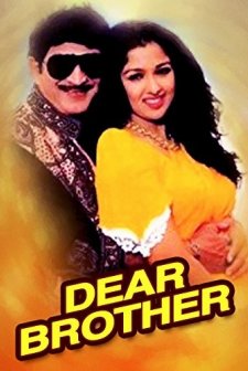 Dear Brother (1995) afişi