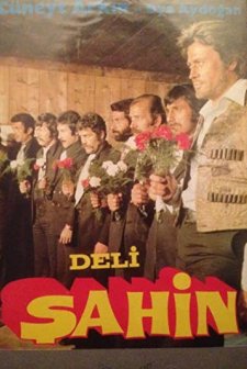 Deli Şahin (1976) afişi