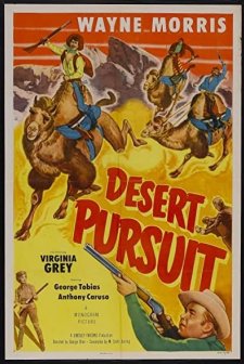 Desert Pursuit