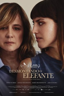 Desmontando un elefante (2024) afişi