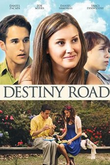 Destiny Road (2012) afişi