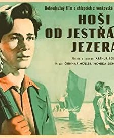 Die Jungen Vom Kranichsee (1950) afişi