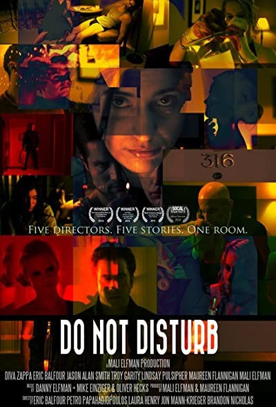 Do Not Disturb (2011) afişi Do Not Disturb (2011) afişi