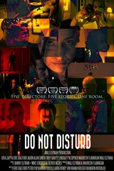 Do Not Disturb (2011) afişi