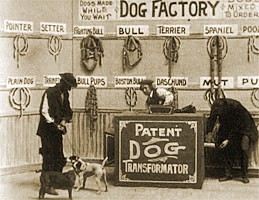 Dog Factory (1904) afişi Dog Factory (1904) afişi