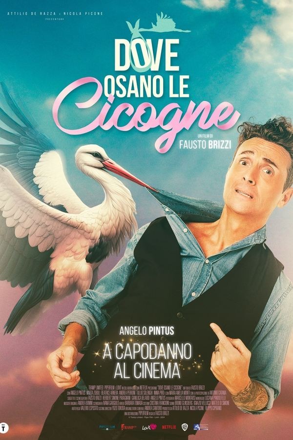 Dove osano le cicogne (2025) afişi Dove osano le cicogne (2025) afişi