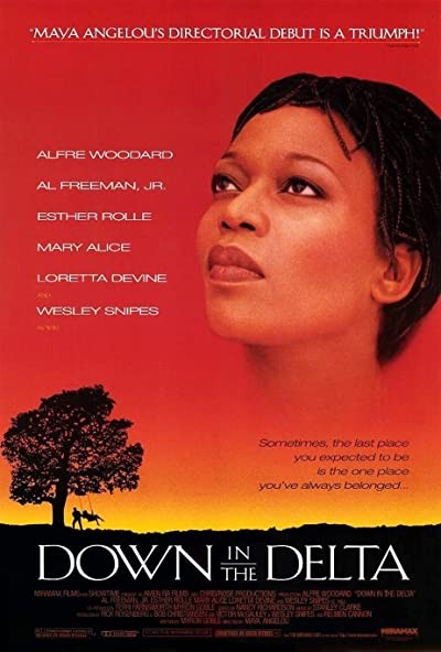 Down in The Delta (1998) afişi Down in The Delta (1998) afişi