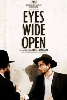 Einayim Petukhoth (2009) afişi