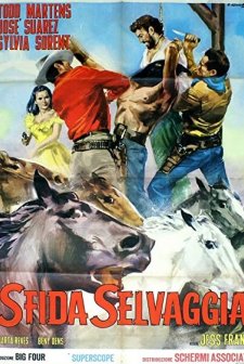 El llanero (1963) afişi