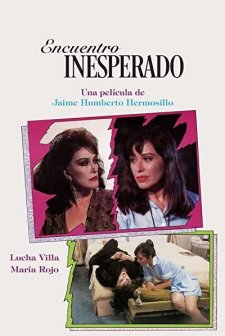 Encuentro Inesperado (1993) afişi