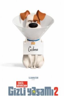 Evcil Hayvanların Gizli Yaşamı 2 (2019) afişi