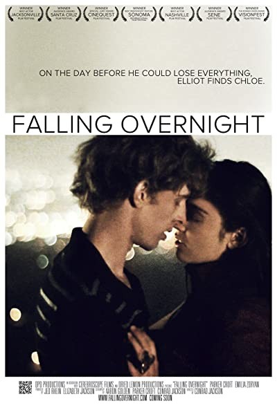 Falling Overnight (2011) afişi Falling Overnight (2011) afişi