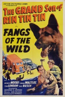 Fangs Of The Wild (1939) afişi