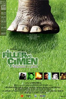 Filler ve Çimen (2000) afişi