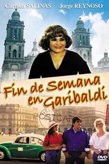 Fin De Semana En Garibaldi (1991) afişi