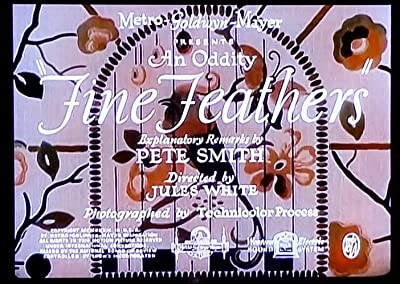 Fine Feathers (1933) afişi Fine Feathers (1933) afişi