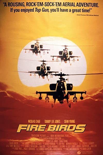 Fire Birds (1990) afişi Fire Birds (1990) afişi