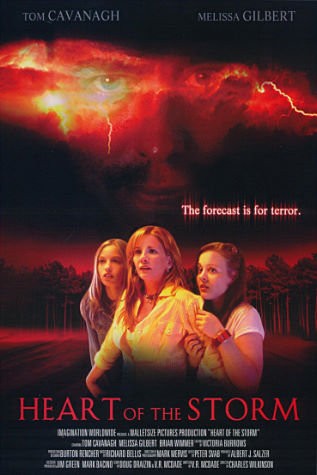 Fırtınanın Ortasında (2004) afişi Fırtınanın Ortasında (2004) afişi