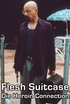 Flesh Suitcase (1995) afişi