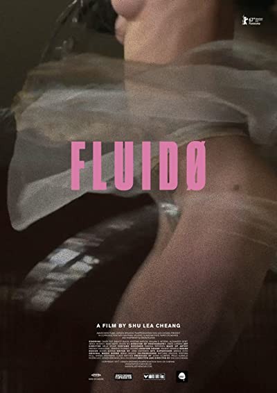 Fluidø (2017) afişi Fluidø (2017) afişi