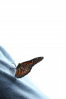 For Wendy (2008) afişi