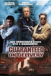 Güvenlikçi (2001) afişi Güvenlikçi (2001) afişi