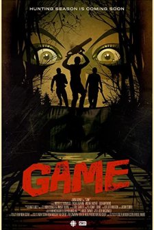 Game (2013) afişi