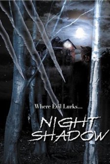 Gece Gölgesi (1989) afişi