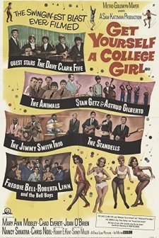 Get Yourself A College Girl (1964) afişi