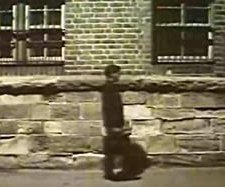 Groping (1980) afişi