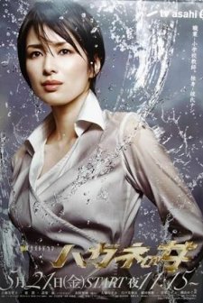 Hagane No Onna (2010) afişi