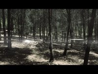 Hojas (2011) afişi Hojas (2011) afişi