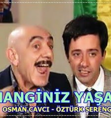 Hanginiz Yaşar (1993) afişi