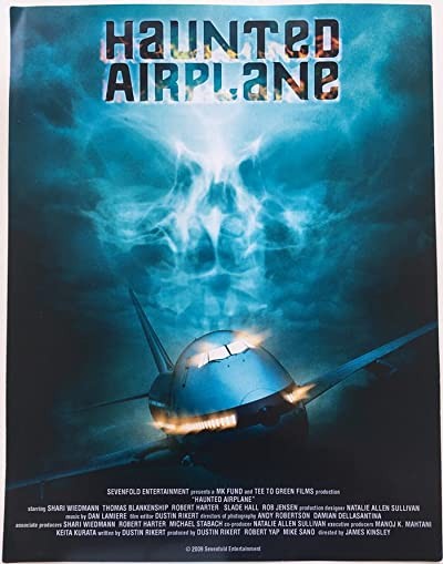 Haunted Airplane (2009) afişi Haunted Airplane (2009) afişi