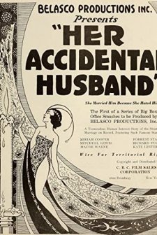 Her Accidental Husband