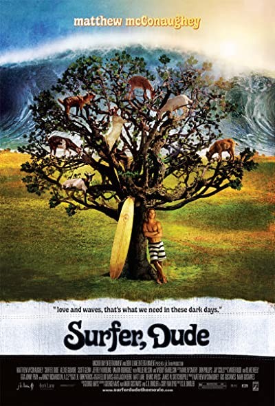 Hızlı Sörfçü (2008) afişi