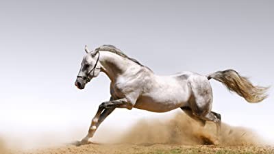 Horse (2022) afişi Horse (2022) afişi