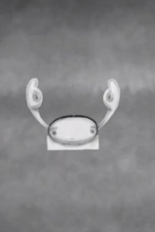 İçine Kaçan Kız (2012) afişi