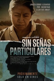 Identifying Features (2020) afişi