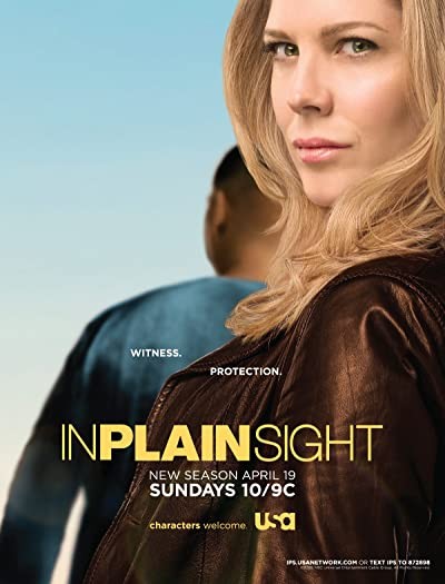 ın Plain Sight (2008) afişi ın Plain Sight (2008) afişi