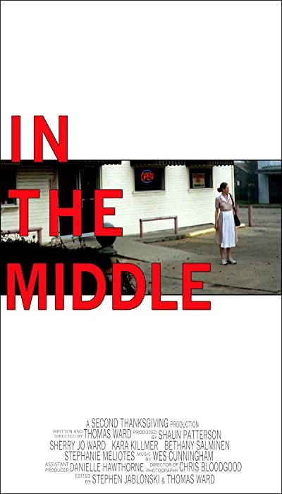ın The Middle (2010) afişi ın The Middle (2010) afişi