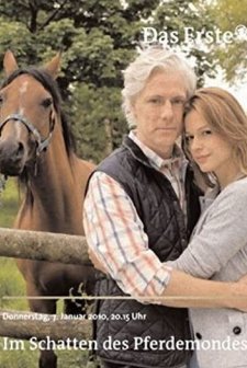 In The Shadows (2010) afişi