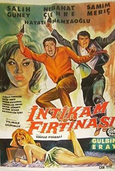 İntikam Fırtınası (1966) afişi
