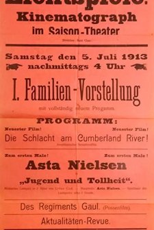 Jugend Und Tollheit (1913) afişi