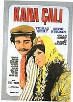 Kara Çalı